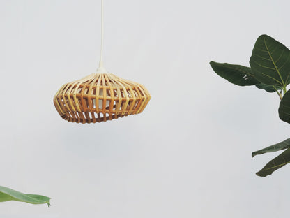 Alokik Pendant Lamp 52.5cm/22.5in Dia [Mianzi X KJDS]