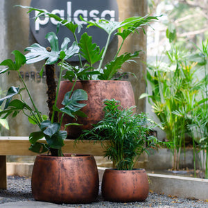 Fiji Series CRC Planters