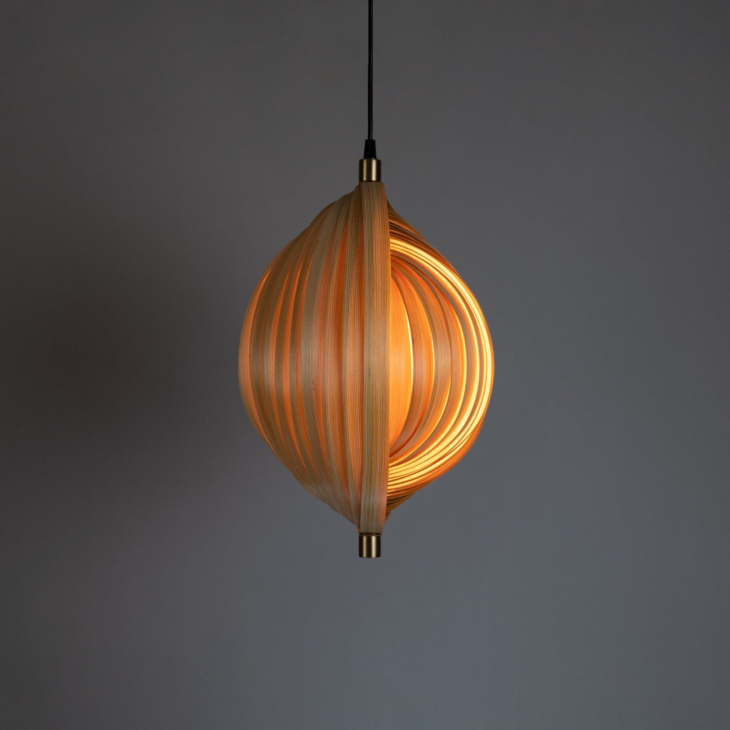 Sea Shell Pendant Lamp