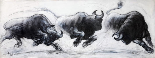 Charging Bull Series