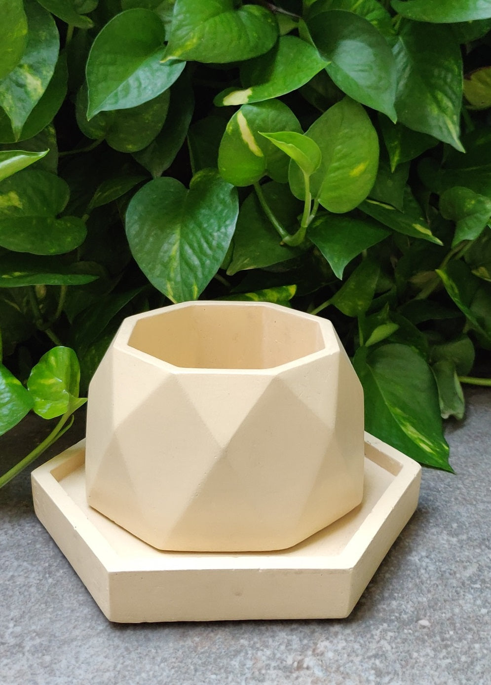 Octa-fun concrete planter (nude)