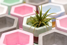 Load image into Gallery viewer, Hexa fun planter close up