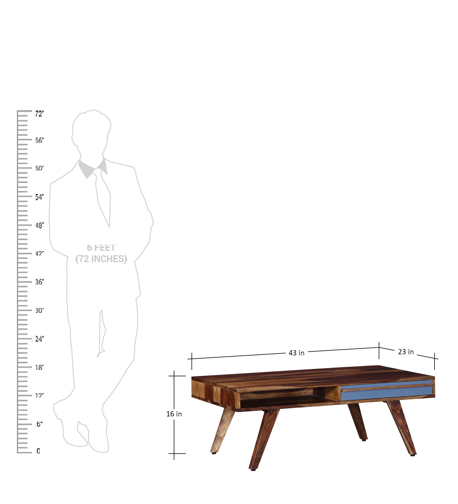 Colorado Coffee Table comparison with human