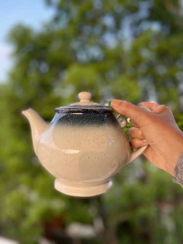 Speckled Teapot | Farmhouse Collection