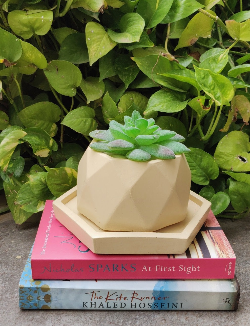 Octa-fun concrete planter (nude) with plant inside