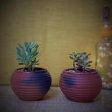 Load image into Gallery viewer, Set of 2 Terracotta and Jute Hanging cum Desktop Planters Round side view