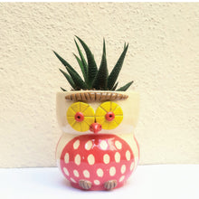 Load image into Gallery viewer, Dotted Red Owl Planter with plant