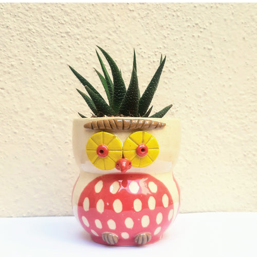 Dotted Red Owl Planter with plant