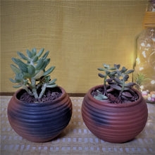Load image into Gallery viewer, Set of 2 Terracotta and Jute Hanging cum Desktop Planters Round