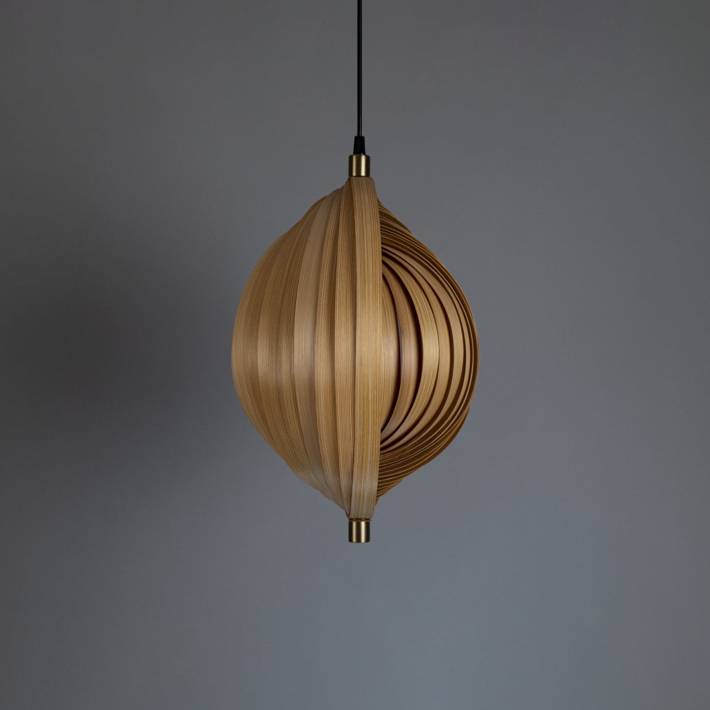 Sea Shell Pendant Lamp