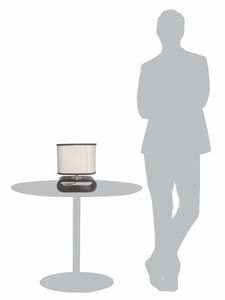 Asian Style Capsule Shaped Dark Brown Table Lamp