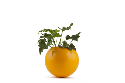 Circle Of Life Planter Yellow single