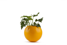 Load image into Gallery viewer, Circle Of Life Planter Yellow single