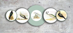 Hand painted set of 5 'Seaside Birds' Mounted Wall Plates