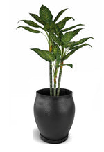 Load image into Gallery viewer, De&#39;Dzines Unbreakable Barrel Large Rubber Planter close up with plant