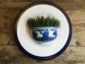 Chinese 'Tea Time' Wall Planters(Bowl)