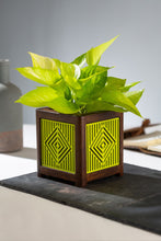 Load image into Gallery viewer, QUBO Lime Burst Liner Handmade Wooden Indoor Planter Pot