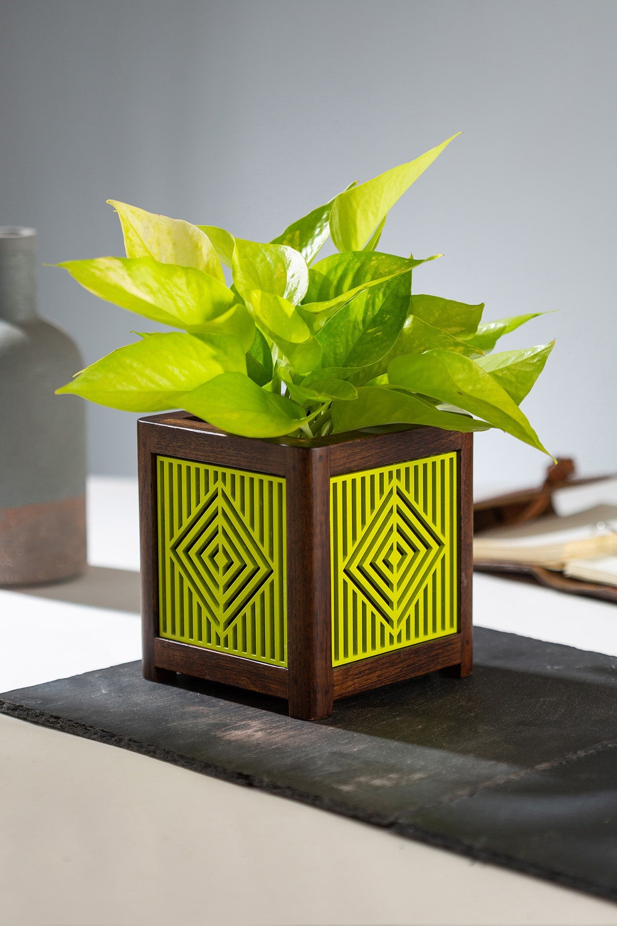 QUBO Lime Burst Liner Handmade Wooden Indoor Planter Pot