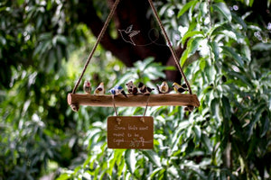Bird hanging – small