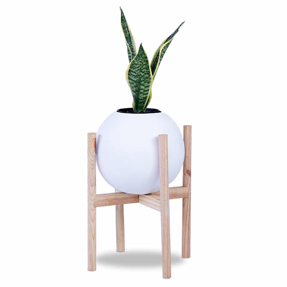 Circle of Life Planter With Wood Stands