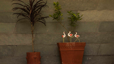 Plant Poker – Flamingo (Resting)
