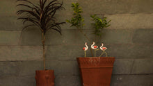 Load image into Gallery viewer, Plant Poker – Flamingo (Standing)