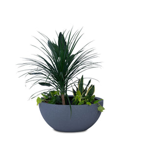Patio Planter
