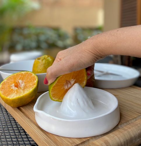 The Citrus fruit juicer | matte white
