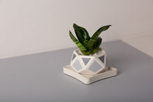 Load image into Gallery viewer, Concrete Hexamont Planter - Grey