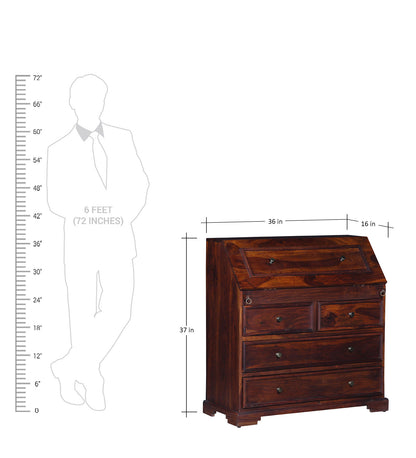 Malabar storage study desk in honey finish comparison with human