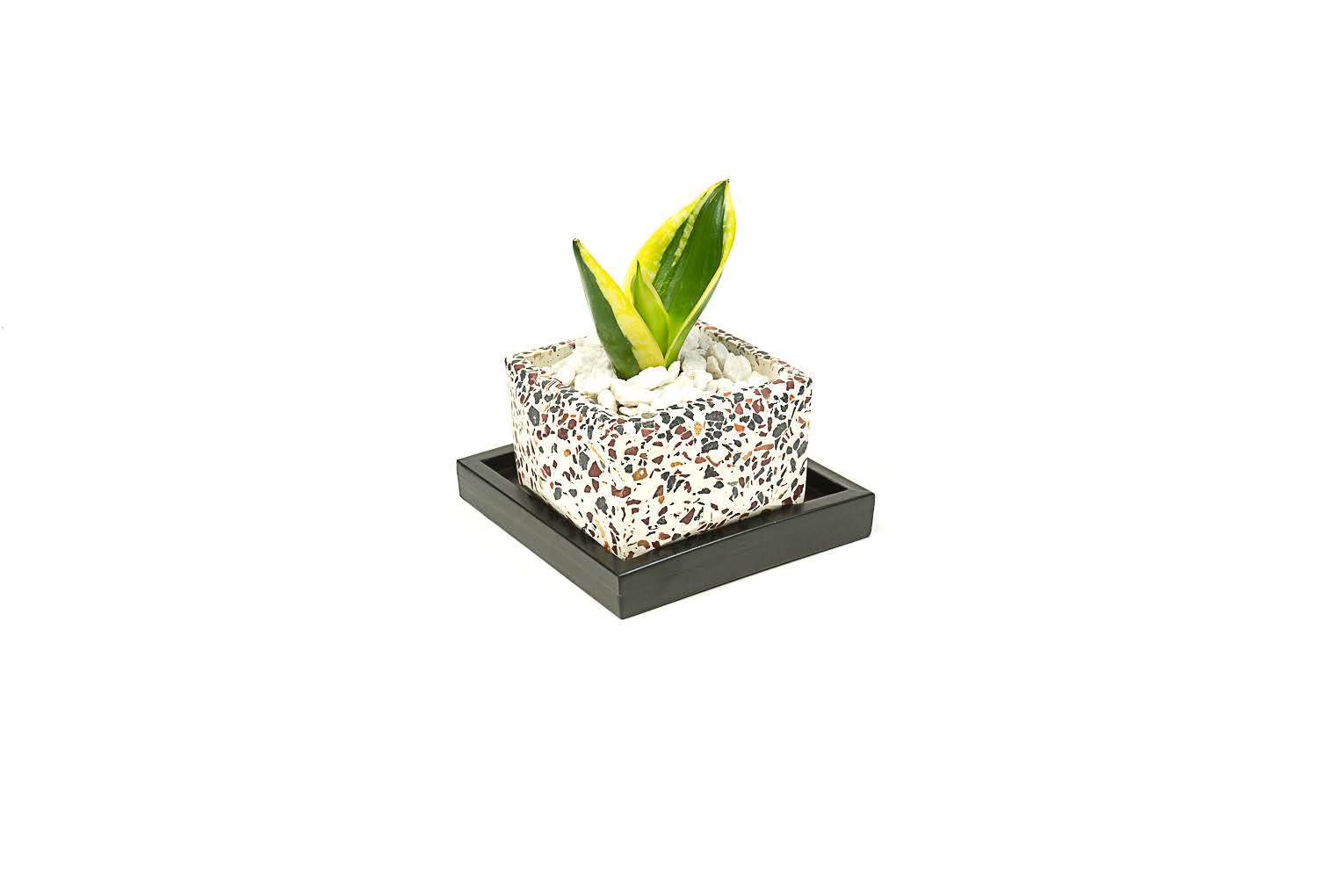 Terrazzo Crystalite Planter